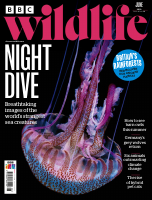 @enmagazine BBC Wildlife - 06.2022.pdf